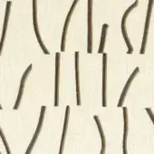 Bejuco - Mordore gris